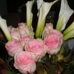 Meet your Posher, Norma